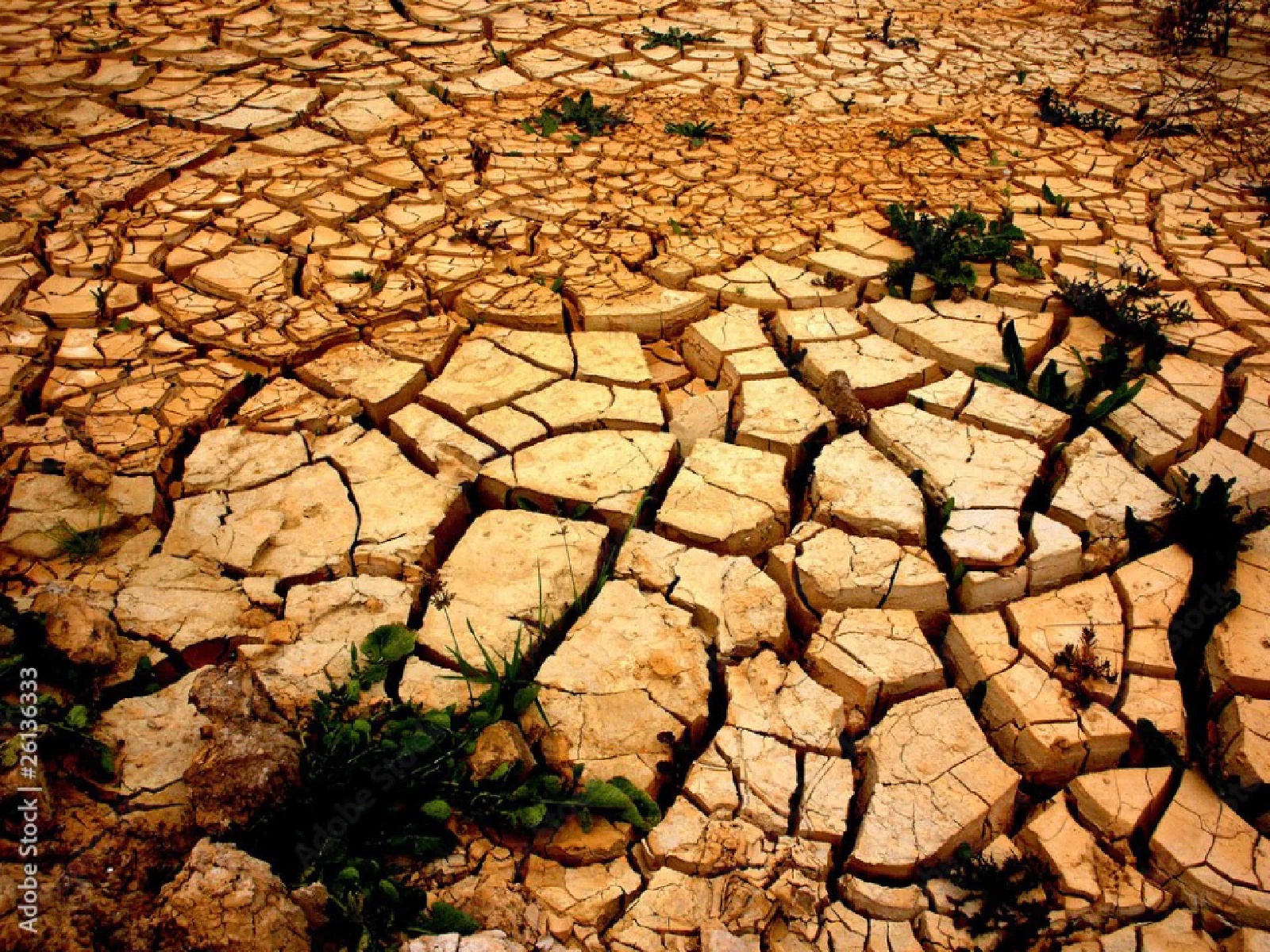 Data Analytics on Scorched Earth: The Decline of Azure Synapse?
