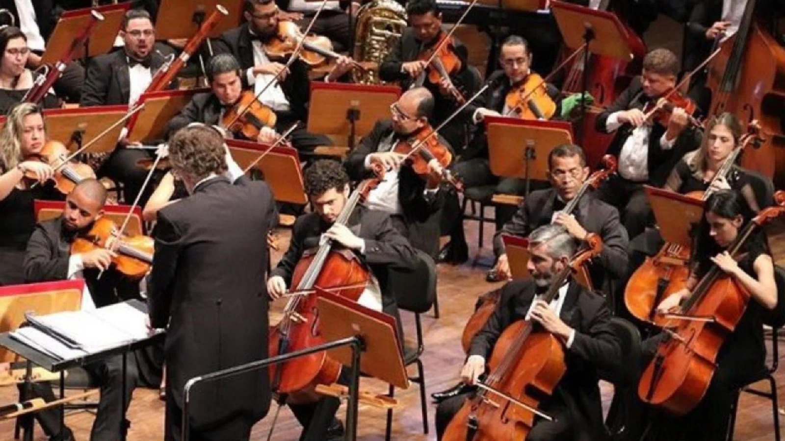 The Digital Orchestra: When AI Agents Learn to Play Together